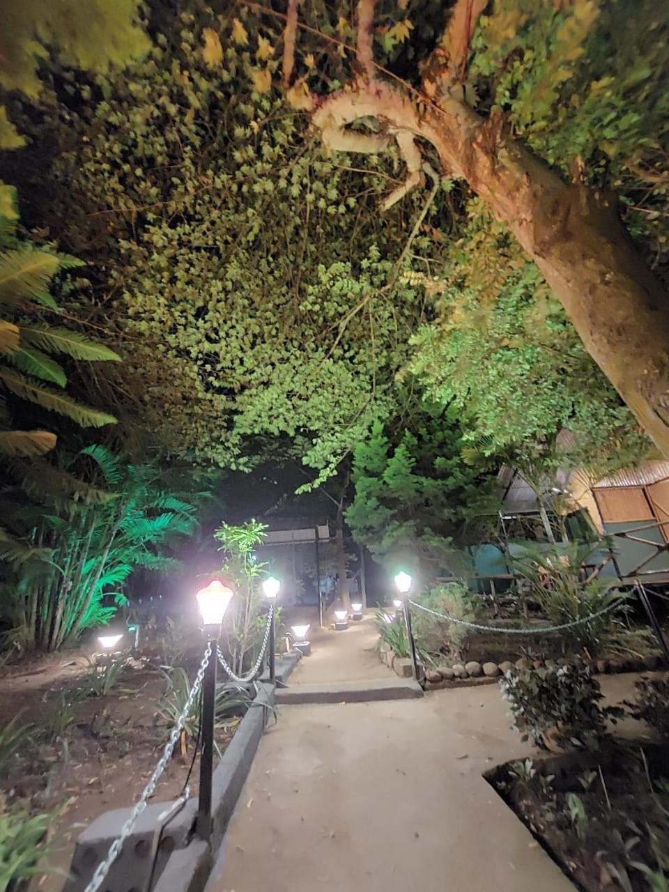 Green Hills Farm And Guest House Masinagudi Exterior photo